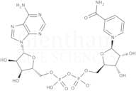β-Nicotinamide adenine dinucleotide