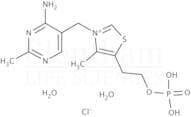Thiamine monophosphate chloride dihydrate
