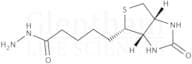 (+)-Biotin hydrazide