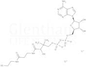3''-Dephosphocoenzyme A