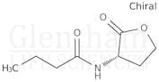 N-Butanoyl-L-homoserine lactone