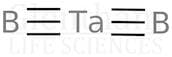 Tantalum boride, 99+%