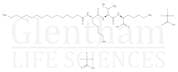 Syn-Coll, Palmitoyl Tripeptide-5