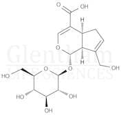 Geniposidic acid