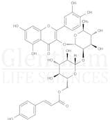 Quercetin 3-O-β-D-(6''''-p-coumaroyl)glucopyranosyl(1-2)-α-L-rhamnopyranoside