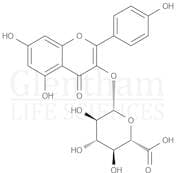 Kaempferol 3-glucuronide