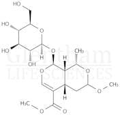 7-O-Methyl morroniside