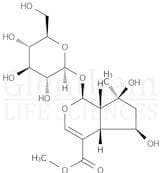 Shanzhiside methylester
