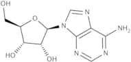Adenine 9-β-D-arabinofuranoside