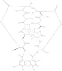 7-Aminoactinomycin D