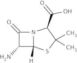 6-Aminopenicillanic acid