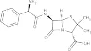 Ampicillin, anhydrous, EP grade