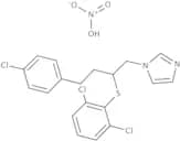 Butoconazole nitrate