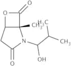clasto-Lactacystin β-lactone