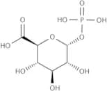 a-D-Glucuronic acid-1-phosphate