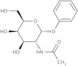Phenyl 2-acetamido-2-deoxy-a-D-glucopyranoside