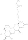 Carbomethoxyethylthioethyl 2-acetamido-2-deoxy-4-O-(b-D-galactopyranosyl)-b-D-glucopyranoside