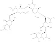Penta-N-acetylchitopentaose
