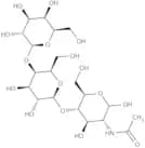 2-Acetamido-2-deoxy-4-O-([4-O-b-D-galactopyranosyl]-b-D-galactopyranosyl)-D-glucopyranose