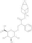 Scopolamine O-b-D-glucuronide