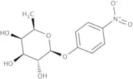4-Nitrophenyl b-D-fucopyranoside