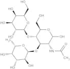 Lewis X trisaccharide