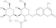 4-Methylumbelliferyl 2-acetamido-3-O-(b-D-galactopyranosyl)-a-D-galactopyranoside