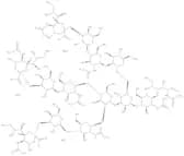 A3 N-Glycan