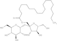 Sucrose stearate