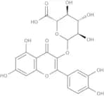 Quercetin 3-D-glucuronide