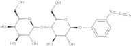 β-D-Lactopyranosylphenyl isothiocyanate