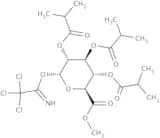 Methyl 2,3,4-Tri-O-isobutyryl-1-O-trichloroacetimidoyl-α-D-glucopyranuronate