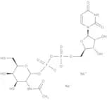 UDP-N-acetyl-D-galactosamine