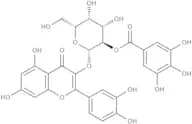Quercetin 3-b-galactoside-2''-O-gallate