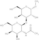 Methyl 3-O-(2-acetamido-2-deoxy-b-D-galactopyranosyl)-a-D-galactopyranoside