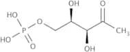 1-Deoxy-D-xylulose 5-phosphate