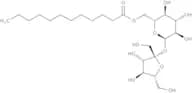 Dodecanoyl-D-sucrose