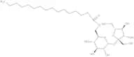 Sucrose palmitate