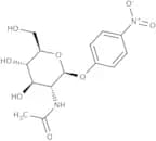 4-Nitrophenyl 2-acetamido-2-deoxy-b-D-glucopyranoside