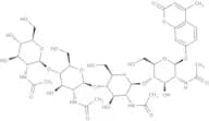 4-Methylumbelliferyl N,N'',N'''',N''''''-tetraacetyl-b-D-chitotetraoside