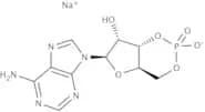 Adenosine-3'',5''-cyclic monophosphate sodium salt