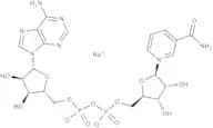 β-Nicotinamide Adenine dinucleotide sodium salt from Saccharomyces cerevisiae