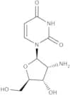 2''-Amino-2''-deoxyuridine