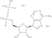 Adenosine 5''-diphosphate disodium salt