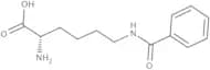 N-ε-Benzoyl-L-lysine