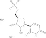 Uridine 5''-monophosphate disodium salt