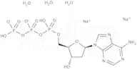 2''-Deoxyadenosine-5''-triphosphate sodium salt (dATP); 100mM solution