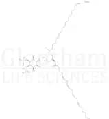 Phosphatidylinositol 4,5-bisphosphate