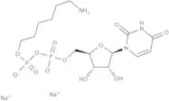 Uridine 5′-diphosphohexanolamine sodium salt