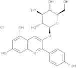 Callistephin chloride